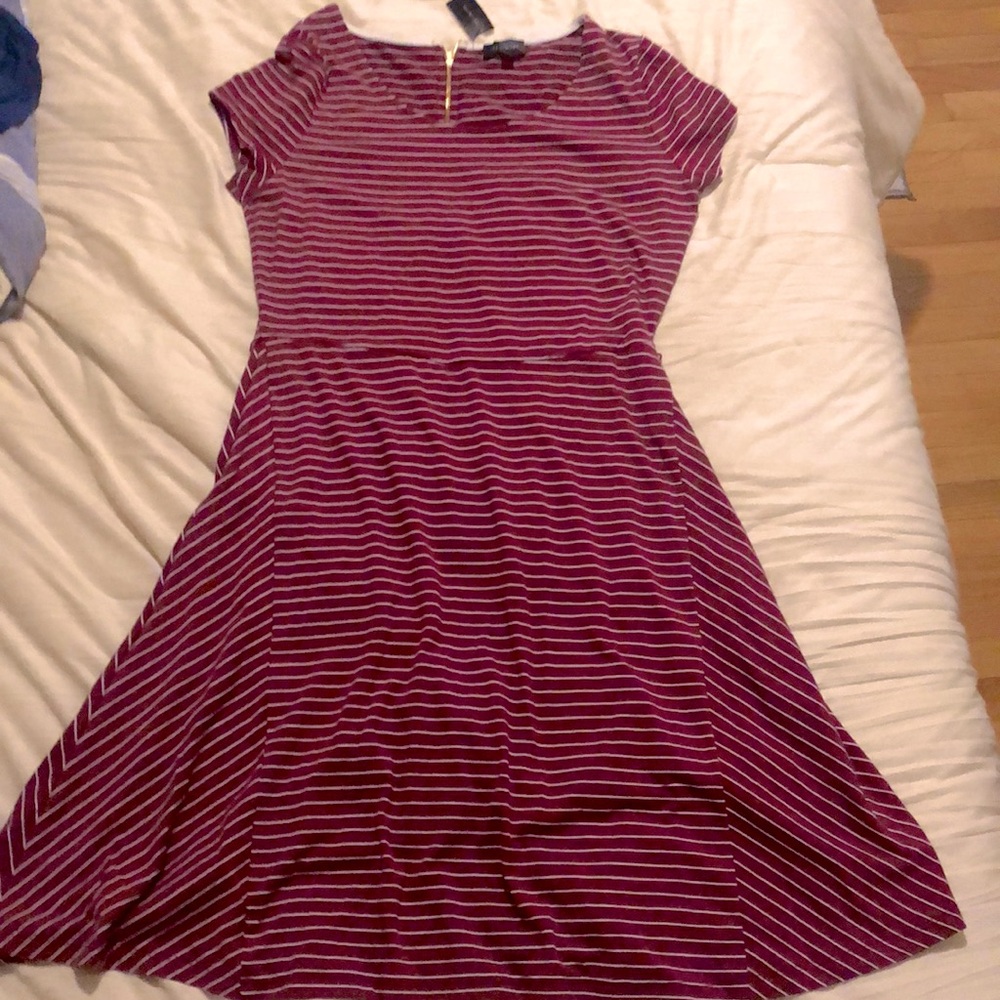 The Limited NWT Maroon and white striped dress